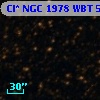 Cl* NGC 1978    WBT    5555