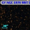 Cl* NGC 1978    WBT    5556