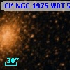 Cl* NGC 1978    WBT    5557