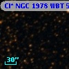 Cl* NGC 1978    WBT    5561