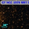 Cl* NGC 1978    WBT    5562
