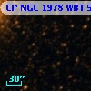 Cl* NGC 1978    WBT    5563