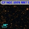 Cl* NGC 1978    WBT    5565