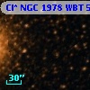Cl* NGC 1978    WBT    5568