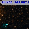 Cl* NGC 1978    WBT    5569