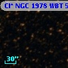 Cl* NGC 1978    WBT    5571