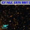 Cl* NGC 1978    WBT    5572