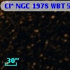 Cl* NGC 1978    WBT    5576