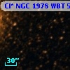 Cl* NGC 1978    WBT    5577