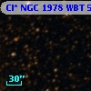 Cl* NGC 1978    WBT    5593