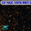 Cl* NGC 1978    WBT    5594