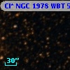 Cl* NGC 1978    WBT    5599