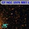 Cl* NGC 1978    WBT    5600