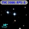 TYC 3166-975-1