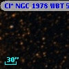 Cl* NGC 1978    WBT    5607