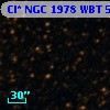 Cl* NGC 1978    WBT    5610