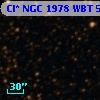 Cl* NGC 1978    WBT    5613