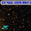 Cl* NGC 1978    WBT    5614
