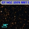 Cl* NGC 1978    WBT    5616