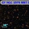 Cl* NGC 1978    WBT    5617