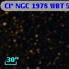 Cl* NGC 1978    WBT    5618