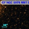 Cl* NGC 1978    WBT    5619