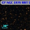Cl* NGC 1978    WBT    5623