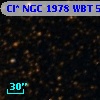 Cl* NGC 1978    WBT    5624