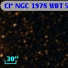 Cl* NGC 1978    WBT    5627