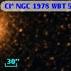 Cl* NGC 1978    WBT    5631