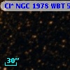 Cl* NGC 1978    WBT    5635