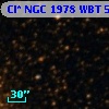 Cl* NGC 1978    WBT    5645