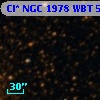 Cl* NGC 1978    WBT    5651