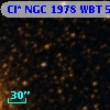 Cl* NGC 1978    WBT    5653