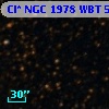 Cl* NGC 1978    WBT    5657