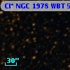 Cl* NGC 1978    WBT    5658