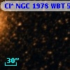 Cl* NGC 1978    WBT    5660
