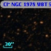 Cl* NGC 1978    WBT    5661