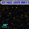 Cl* NGC 1978    WBT    5667