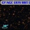 Cl* NGC 1978    WBT    5668