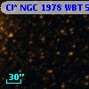 Cl* NGC 1978    WBT    5675
