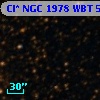 Cl* NGC 1978    WBT    5676