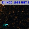 Cl* NGC 1978    WBT    5677