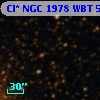 Cl* NGC 1978    WBT    5680