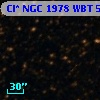 Cl* NGC 1978    WBT    5681