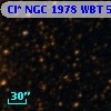 Cl* NGC 1978    WBT    5683