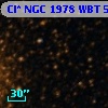 Cl* NGC 1978    WBT    5689