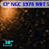 Cl* NGC 1978    WBT    5695