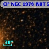 Cl* NGC 1978    WBT    5699