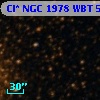Cl* NGC 1978    WBT    5706